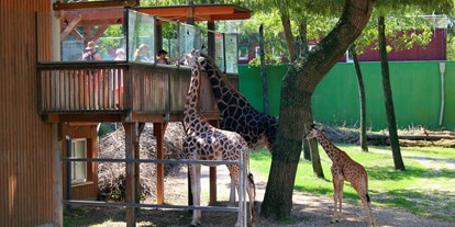 Ausflug mit Kindern - Bad Schallerbach - Zoo Schmiding Aqua Zoo