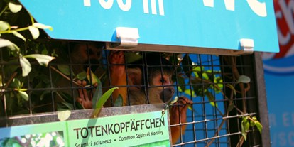 Ausflug mit Kindern - Bad Schallerbach - Zoo Schmiding Aqua Zoo