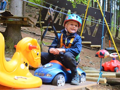 Ausflug mit Kindern - Ausflugsziel ist: ein Freizeitpark - Hamari Kletterpark Mönichkirchen