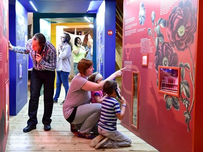 Ausflug mit Kindern - Ausflugsziel ist: ein Museum - Die Welt der Farben - Kräftereich St. Jakob im Walde