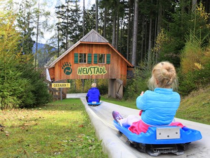 Ausflug mit Kindern - Witterung: Wechselhaft - Mit dem Wiesengleiter geht's zurück ins Tal - Der Wilde Berg Mautern