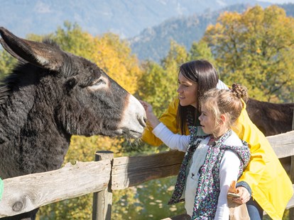 Ausflug mit Kindern - Alter der Kinder: 1 bis 2 Jahre - Unsere Tiere lieben die Streicheleinheiten - Der Wilde Berg Mautern