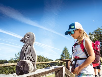 Ausflug mit Kindern - Ausflugsziel ist: ein Tierpark - Kugelbahn - Der Wilde Berg Mautern