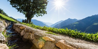 Ausflug mit Kindern - Trentino-Südtirol - Wanderung auf dem Schenner Waalweg