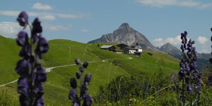 Ausflug mit Kindern - Vorarlberg - Walsersiedlung Bürstegg