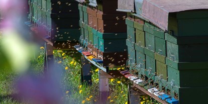 Ausflug mit Kindern - Villnöss - Bienenlehrpfad Steinegg - Bienenlehrpfad Karneid