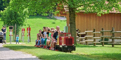 Ausflug mit Kindern - Ausflugsziel ist: ein Tierpark - Wildfreizeitpark Oberreith