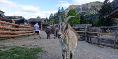 Ausflug mit Kindern - Trentino-Südtirol - Tierwelt Rainguthof