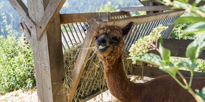 Ausflug mit Kindern - Südtirol - Copyright: Tourismusverein Tisens-Prissian/René Gamper - Tierwelt Rainguthof