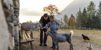 Ausflug mit Kindern - St. Leonhard in Passeier - Copyright: Tourismusverein Tisens-Prissian/René Gamper - Tierwelt Rainguthof