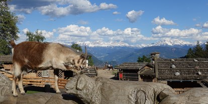 Ausflug mit Kindern - Südtirol - Tierwelt Rainguthof