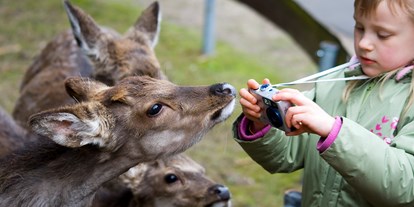 Ausflug mit Kindern - Ausflugsziel ist: ein Tierpark - Tiere füttern - Der Dinosaurierpark - Ferienpark Germendorf