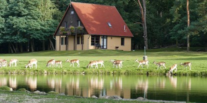 Ausflug mit Kindern - Fläming - Wildpark Johannismühle