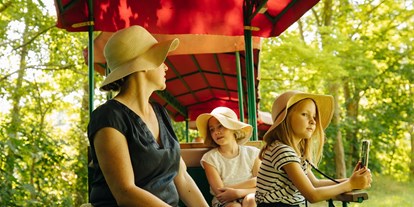 Ausflug mit Kindern - Brandenburg - Mit der Ziegeleibahn durch den Park. Täglich und stündlich von 11 bis 17 Uhr - Ziegeleipark Mildenberg