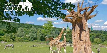 Ausflug mit Kindern - Taunus - Opel-Zoo