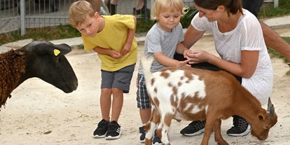 Ausflug mit Kindern - Taunus - Freizeitpark Lochmühle