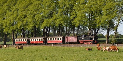 Ausflug mit Kindern - Rostock (Kreisfreie Stadt Rostock) - Mecklenburgische Bäderbahn Molli