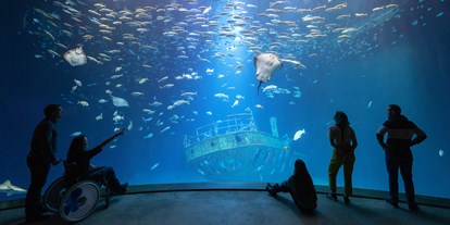 Ausflug mit Kindern - Stralsund - Das Aquarium "Offener Atlantik" bietet einen besonderen Einblick in die Unterwasserwelt - OZEANEUM Stralsund