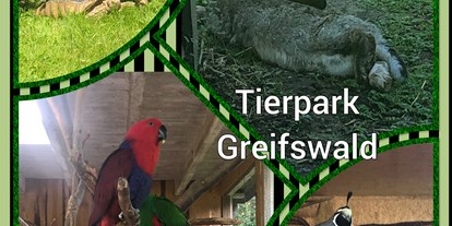 Ausflug mit Kindern - Greifswald - Tierpark Greifswald