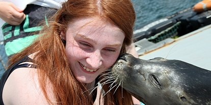 Ausflug mit Kindern - Mecklenburg-Vorpommern - MSC Marine Science Center Robbenforschungszentrum