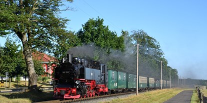 Ausflug mit Kindern - Mecklenburg-Vorpommern - Rasender Roland - Rügensche Bäderbahn