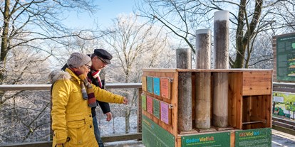 Ausflug mit Kindern - Rügen - Die anschaulichen Didaktikstationen auf dem Pfad informieren über die heimische Flora und Fauna.  - Naturerbe Zentrum Rügen