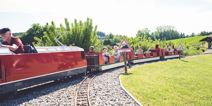 Ausflug mit Kindern - Oberösterreich - Obralino-Minibahn - OBRA-Kinderland