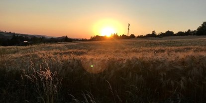 Ausflug mit Kindern - Wienerwald - Bei uns kannst Du auch wundervolle Sonnenuntergänge erleben... - 3er-hof Biobauernhof, Familie Hieret