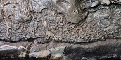 Ausflug mit Kindern - Bergisches Land - Versteinerter Schwamm - Aggertalhöhle