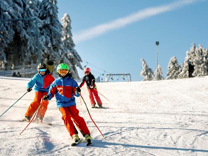 Ausflug mit Kindern - Alter der Kinder: 6 bis 10 Jahre - Ski- und Rodelarena Wasserkuppe