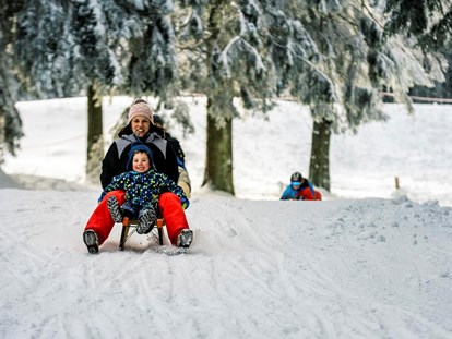 Ausflug mit Kindern - Deutschland - Ski- und Rodelarena Wasserkuppe