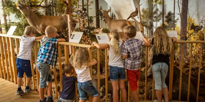 Ausflug mit Kindern - Wiener Neustadt - Schloss Lackenbach Kids & Family - Schloss Lackenbach