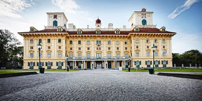 Ausflug mit Kindern - Wiener Neustadt - Schloss Esterházy