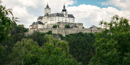 Ausflug mit Kindern - Wiener Neustadt - Burg Forchtenstein  - Burg Forchtenstein