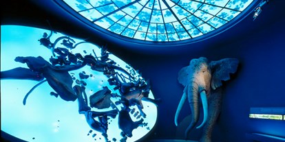 Ausflug mit Kindern - Sachsen-Anhalt - Der Elefantenraum des Landesmuseums - Landesmuseum für Vorgeschichte