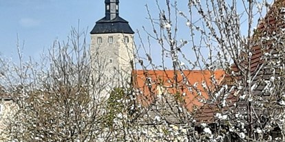 Ausflug mit Kindern - sehenswerter Ort: Burg - Bereits von der Schloßstraße aus sieht man den 36m hohen Bergfried der Wasserburg. - Wasserburg Egeln