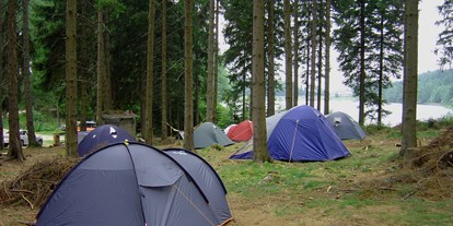 Ausflug mit Kindern - Artstetten - Schattiger Bereich im Hochwald - Campingplatz Bärnkopf