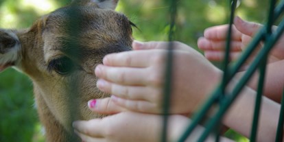 Ausflug mit Kindern - TOP Ausflugsziel 2023 - Axishirschkuh streicheln, aber nicht füttern 😉 - Tierpark Petermoor