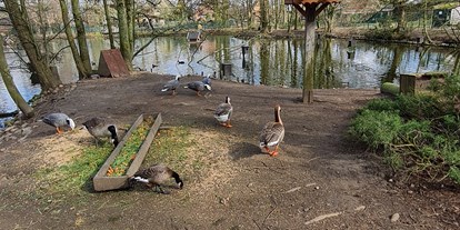 Ausflug mit Kindern - Bremen-Stadt - Tierpark Petermoor