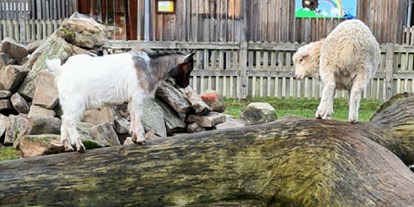 Ausflug mit Kindern - Ausflugsziel ist: ein Tierpark - Tierpark Petermoor