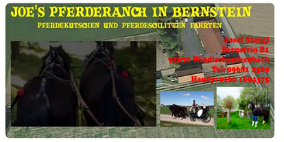 Ausflug mit Kindern - Bayern - JOE'S LEIDENSCHAFT AUF DER PFERDERANCH  Pferdekutschen und Pferdeschlittenfahrten
