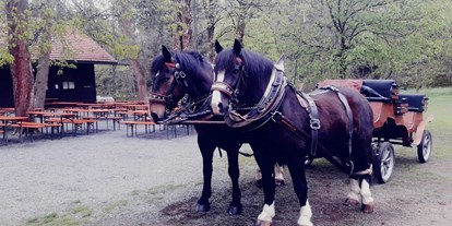 Ausflug mit Kindern - Oberpfalz - JOE'S LEIDENSCHAFT AUF DER PFERDERANCH  Pferdekutschen und Pferdeschlittenfahrten