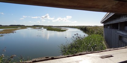 Ausflug mit Kindern - Insel Fehmarn - Beobachtungsversteck - NABU-Wasservogelreservat Wallnau