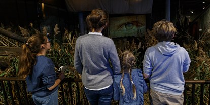 Ausflug mit Kindern - Ostsee - Europäisches Hansemuseum
