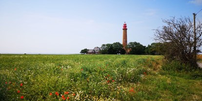 Ausflug mit Kindern - Insel Fehmarn - Leuchtturm Flügge auf Fehmarn