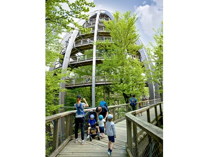 Ausflug mit Kindern - Alter der Kinder: 1 bis 2 Jahre - Familienausflug am Baumwipfelpfad Bayerischer Wald im Frühling - Baumwipfelpfad Bayerischer Wald