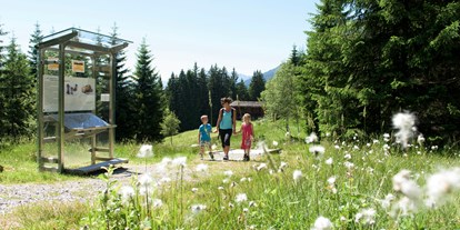 Ausflug mit Kindern - Montafon - Kinderwagentaugliche Wanderwege im Silbertal im Montafon
