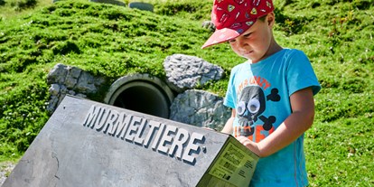Ausflug mit Kindern - Ausflugsziel ist: ein Weg - Vorarlberg - Tierwelten-Weg