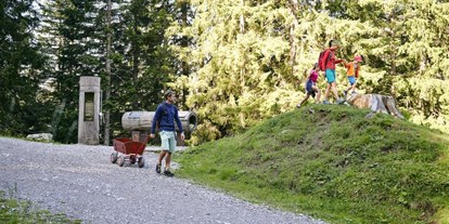 Ausflug mit Kindern - Ausflugsziel ist: ein Weg - Vorarlberg - Von Station zu Station mehr über die Natur erfahren - Natursprünge-Weg