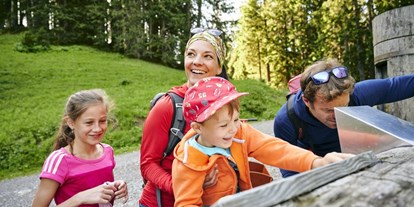 Ausflug mit Kindern - Vorarlberg - Interaktive Wissensstationen machen den Natursprünge-Weg Brandnertal zum Erlebnis - Natursprünge-Weg